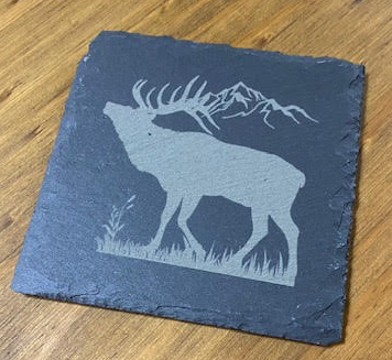 Wildlife Slate Square Coaster Set of 4