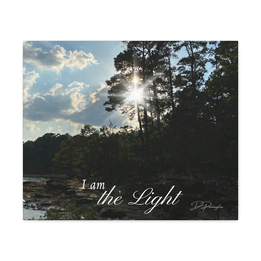 I am the Light (24x20)